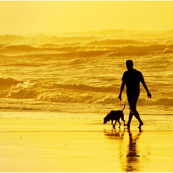 The Unknown Element An Action Packed Supernatural Thriller Challenged World Book 1 Ebook