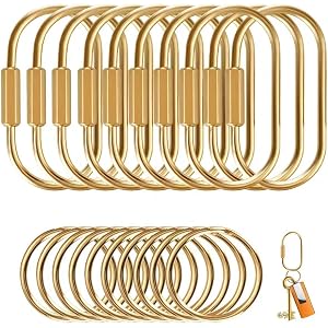 Muitcdo 10 Pack Brass Key Rings Bulk, Gold Key Chain Organizer Holder for Men Women with Secure Screw Locking, Cute Purse Bag