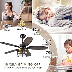 Farmhouse Ceiling Fan with Light and