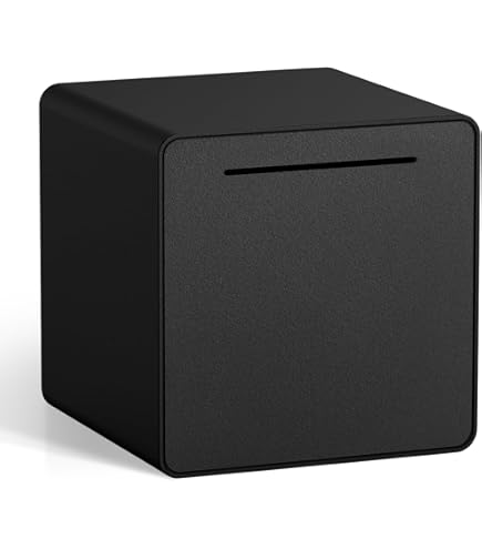 Amazon.com: hicocool Stainless Steel Piggy Bank for Adults