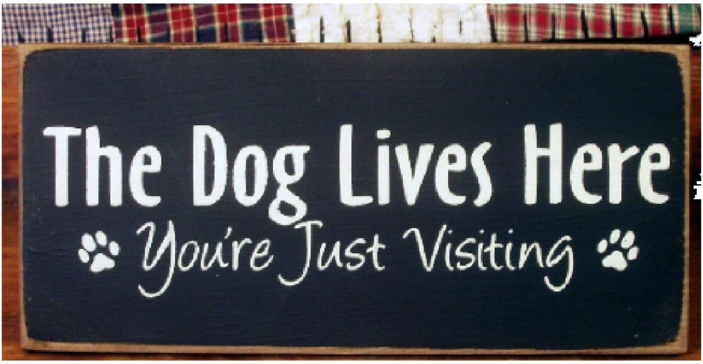 YIGUBIGU 10x5 inch New Sign The Dog Lives Here You're just Visiting Primitive Wood Sign