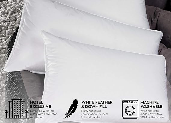Amazon Com W Hotels Down Pillow Plush White Duck Down Pillow