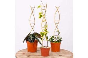 Yohsnor 3PCS DNA Plant Trellis Indoor and Outdoor - Lightweight Metal Trellis for Potted Plants, Hoya & Pothos Climbing Support, Artistic Geometric Design, Durable & Easy Installation