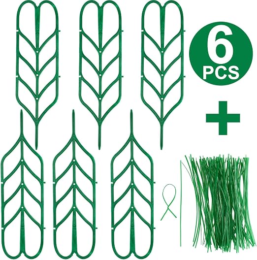 Boao 6 Enrejados de Jardín Mini Enrejados de Plantas Trepadoras ...