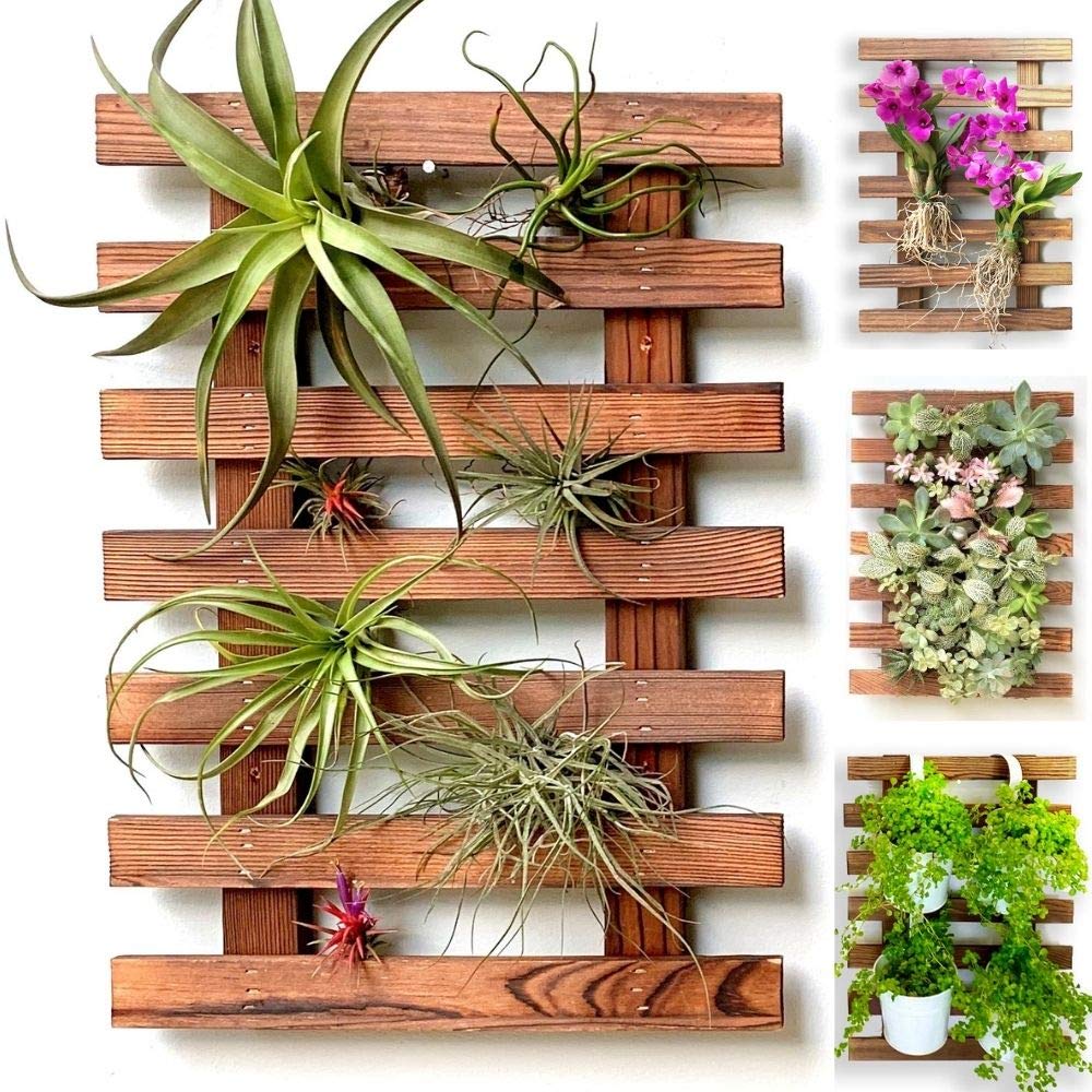 ShopLaLa Wall Planter – Wooden Air Plant