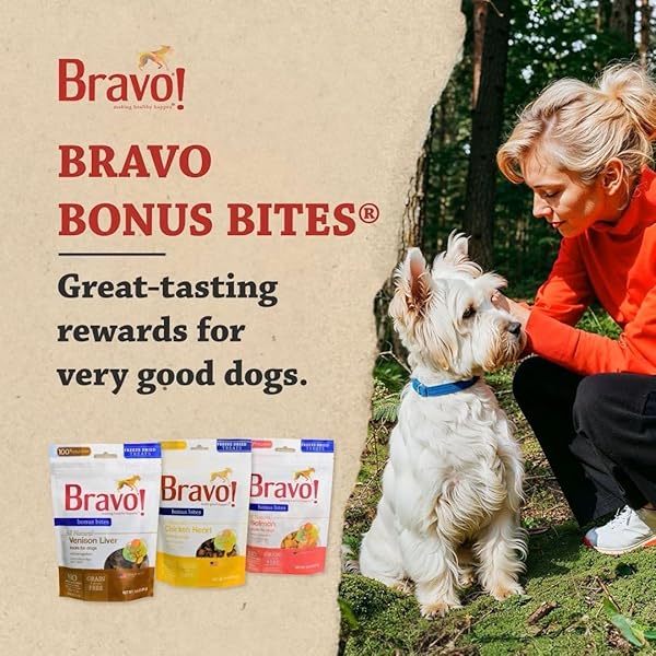 BRAVO! BONUS BITES SINGLE INGREDIENT FREEZE DRIED RAW DOG TREATS, SALMON, 2 OUNCE, HIGH PROTEIN, GRAIN FREE, GLUTEN FREE
