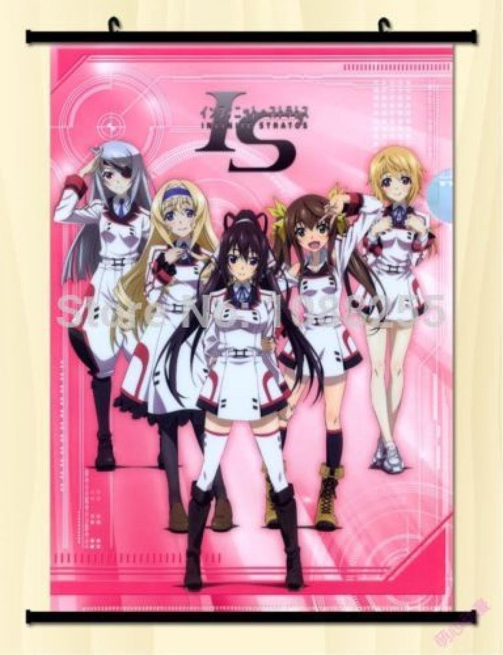 Paintings - Cartoon world Home Decor Japanese Wall poster Scroll Infinite Stratos Charlotte Dunois Whole