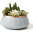 LA JOLIE MUSE Large Succulent Planter Pots - Ceramic Indoor Outdoor Garden Pot with Drainage for Plant Flower, 8 Inch, Gray