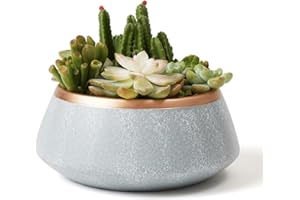 LA JOLIE MUSE Large Succulent Planter Pots - Ceramic Indoor Outdoor Garden Pot with Drainage for Plant Flower, 8 Inch, Gray