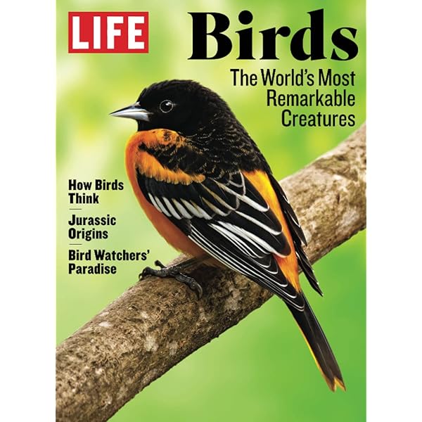Dangerous Birds: A Naturalist's Aviary: Lembke, Janet