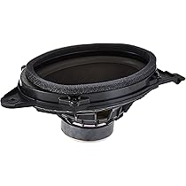 Amazon.com: GM Genuine Parts 13264617 6 in x 9 in Rear Radio Oval 