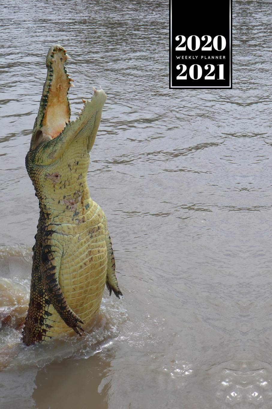 ensacar du jour croc