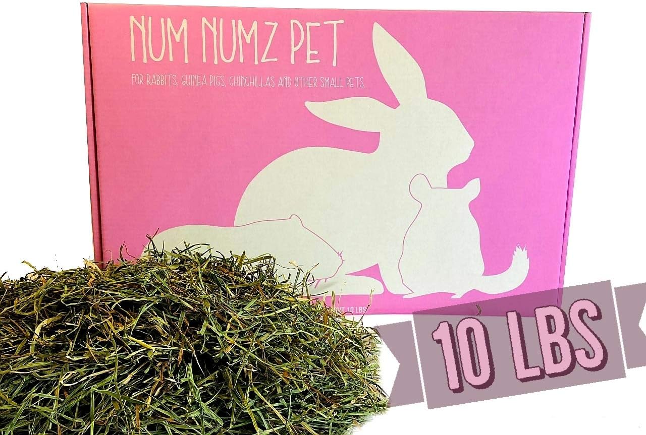 growing timothy hay for rabbits