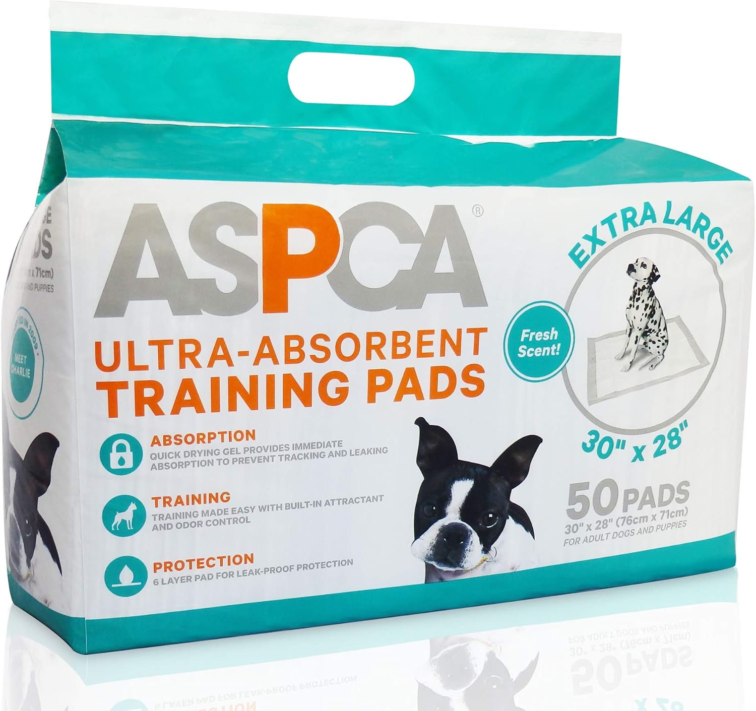 high quality betta fish for sale