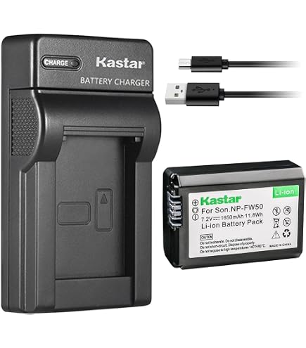 Amazon.com : Surpassed Battery Pack for Sony Alpha NEX-3, NEX-3N