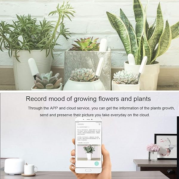 for HHCC Flora Pflanzen Clever 4 in 1 Smart Plant Luftfeuchtigkeit Helligkeit Dnger Temperaturmit Bluetooth und App Kontrolle