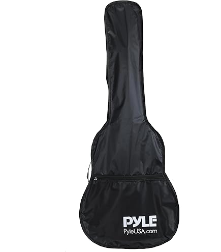 Canta Chauvet DJ CHS-40 13x13x14-inch Lighting Bag | Sweetwater