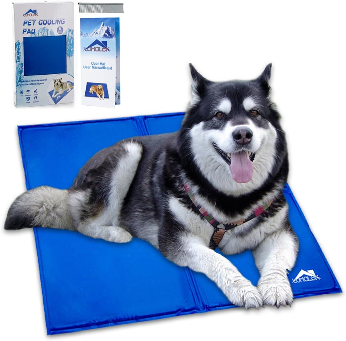 boots for dogs australia