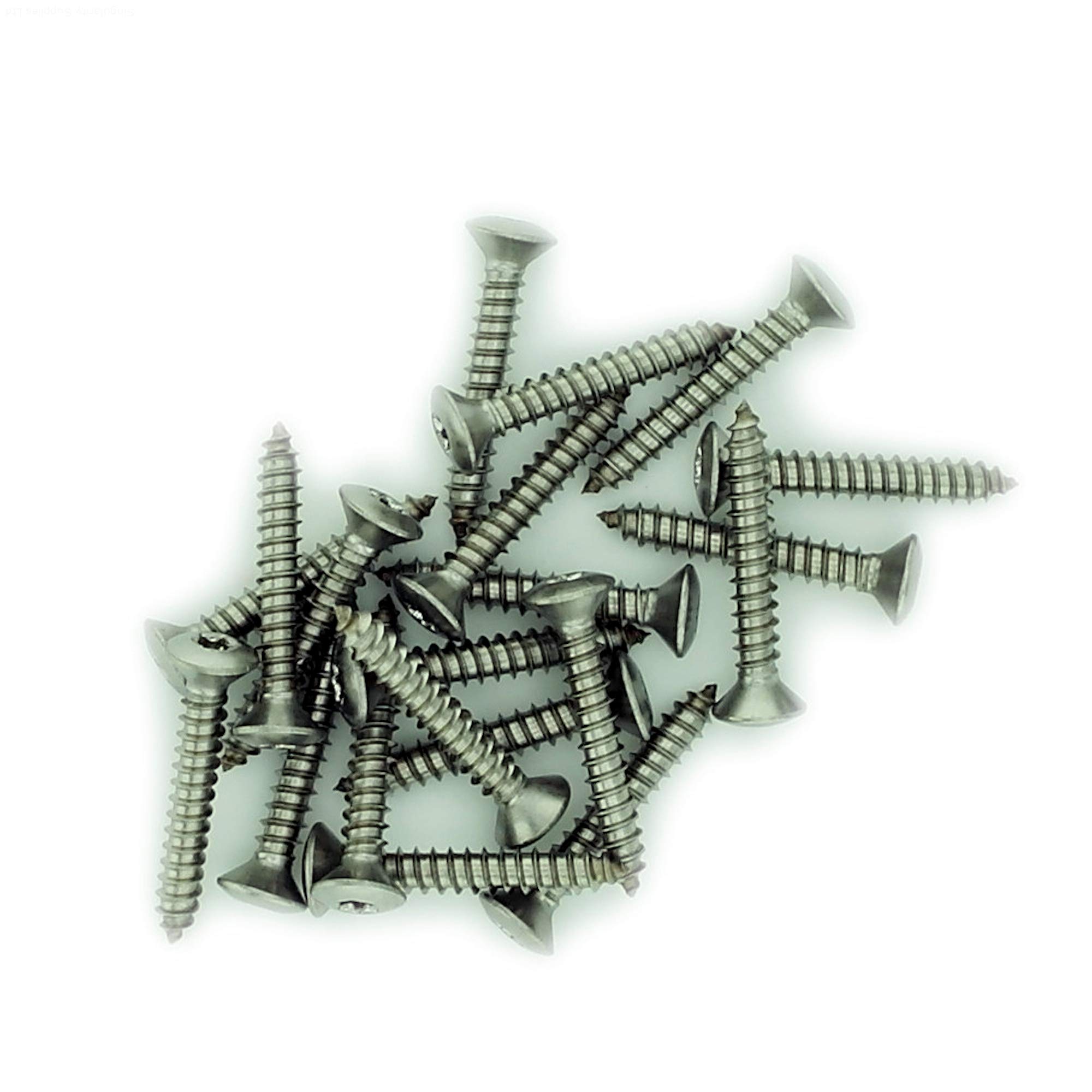 No.4 x 0.375 (2.9mm x 9.5mm) TX Raised Countersunk Self-Tapping Screw - Stainless Steel (A2) (Pack of 20) โ image 1