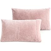 Velvet Queen Pillowcases Standard Size of 2 Pack, Ultra Soft Breathable Pillow Cases with Flap Closure for Bed, Luxury Fuzzy Warm Flannel Velvet Pillow Covers, No Insert (Queen 20x30, Light Mauve)