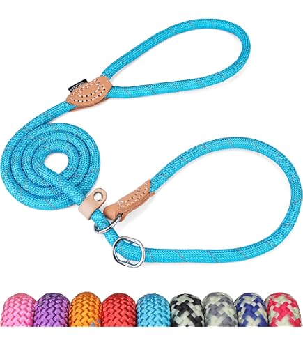 Grand Line Reflective Slip Lead Leash - 5ft Rope Training Lead For Dogs Of All Sizes