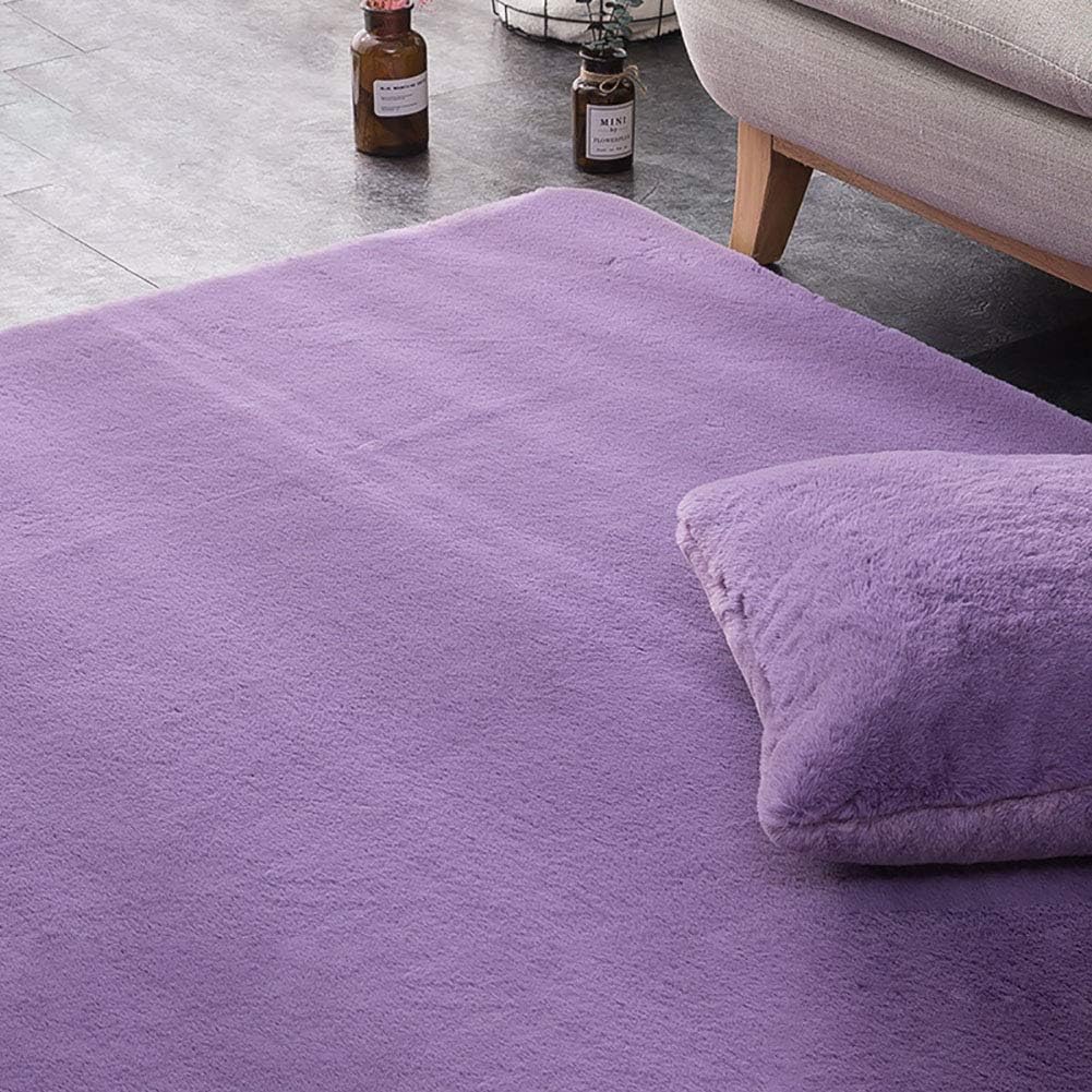 DTFYLD Nordic style Faux rabbit fur Thick plush Rugs Antislip Carpet