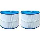 L-Fongda PBF40 Spa Filter Compatible with Bull Frog Spas and Bulk Savings, Wellspring 30 Coreless 10-00282, 40 Sq.Ft., 2 Pack