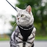 rabbitgoo Cat Harness and Leash Set Escape-Proof Extra Small Black Large view 9