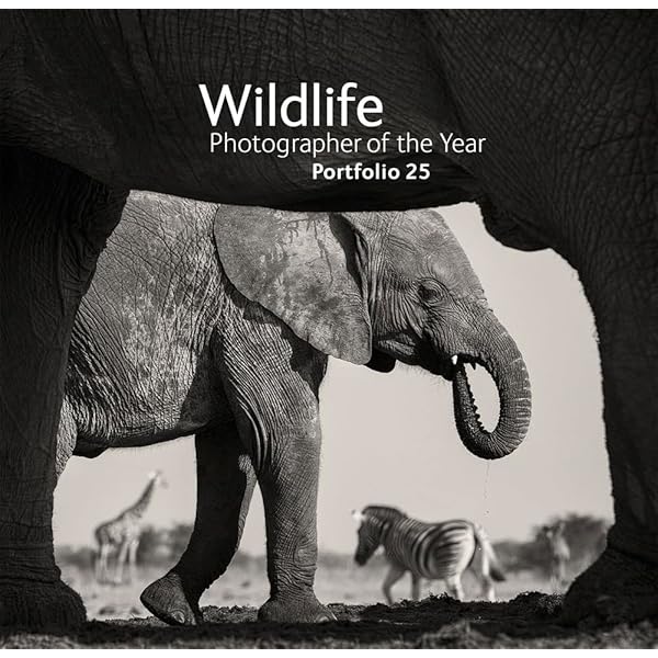 写真集 Wildlife Photographer of the Year 6冊 60 Years of