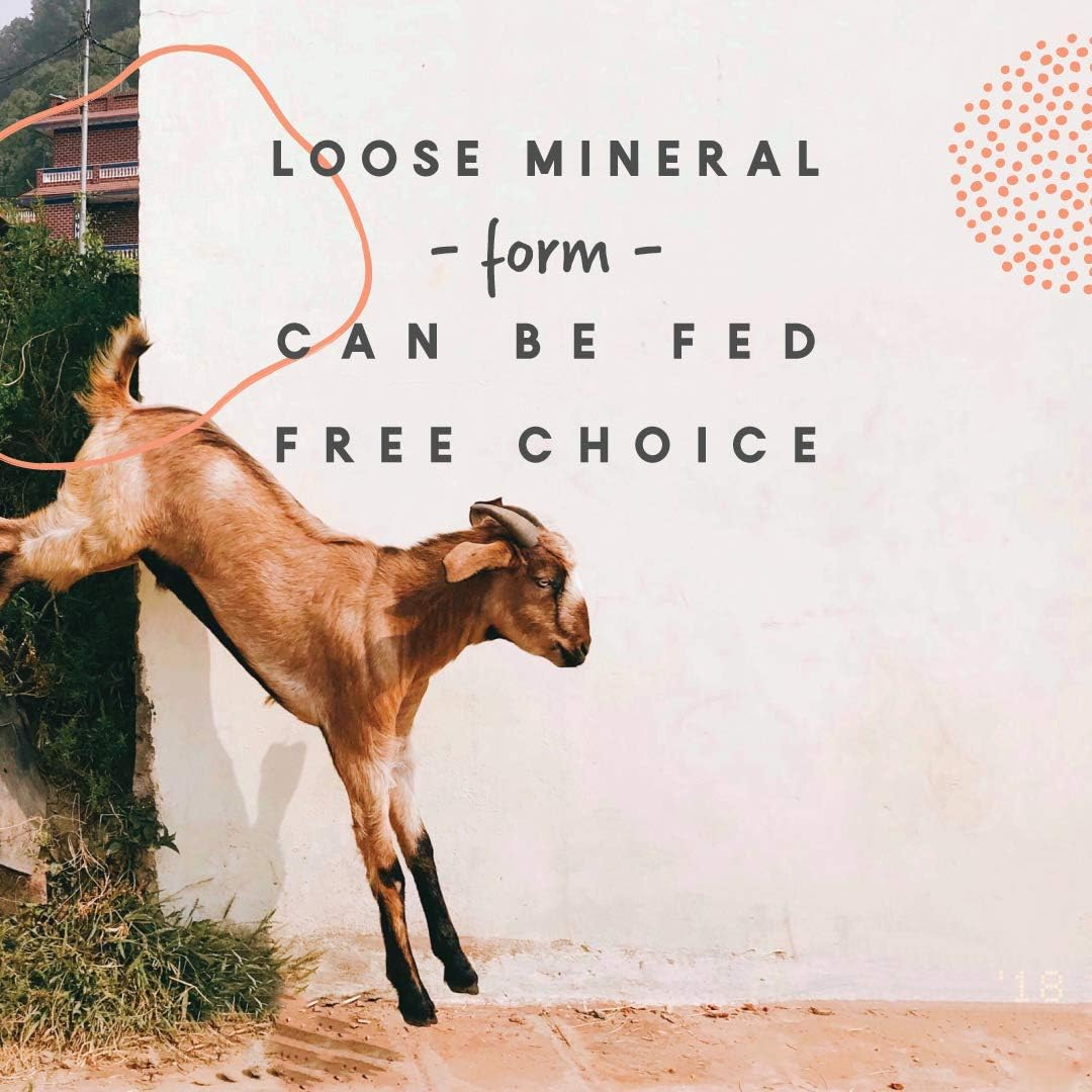 Manna Pro Goat Mineral | Made with Viatimins & Minerals to Support Growth | 8 Pounds: Pet Supplies