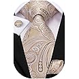 Hi-Tie Silk Paisley Ties for Men Necktie Pocket Square Cufflinks Set Foral Tie Sets Formal Business