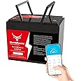 12V 100Ah LiFePO4 Lithium Battery 100A BMS,NewtiPower Group 24 10000+ Deep Cycle Lithium Iron Phosphate Battery Great For Winter Power Shortage, RV, Marine and Off Grid Applications (12V 100Ah)