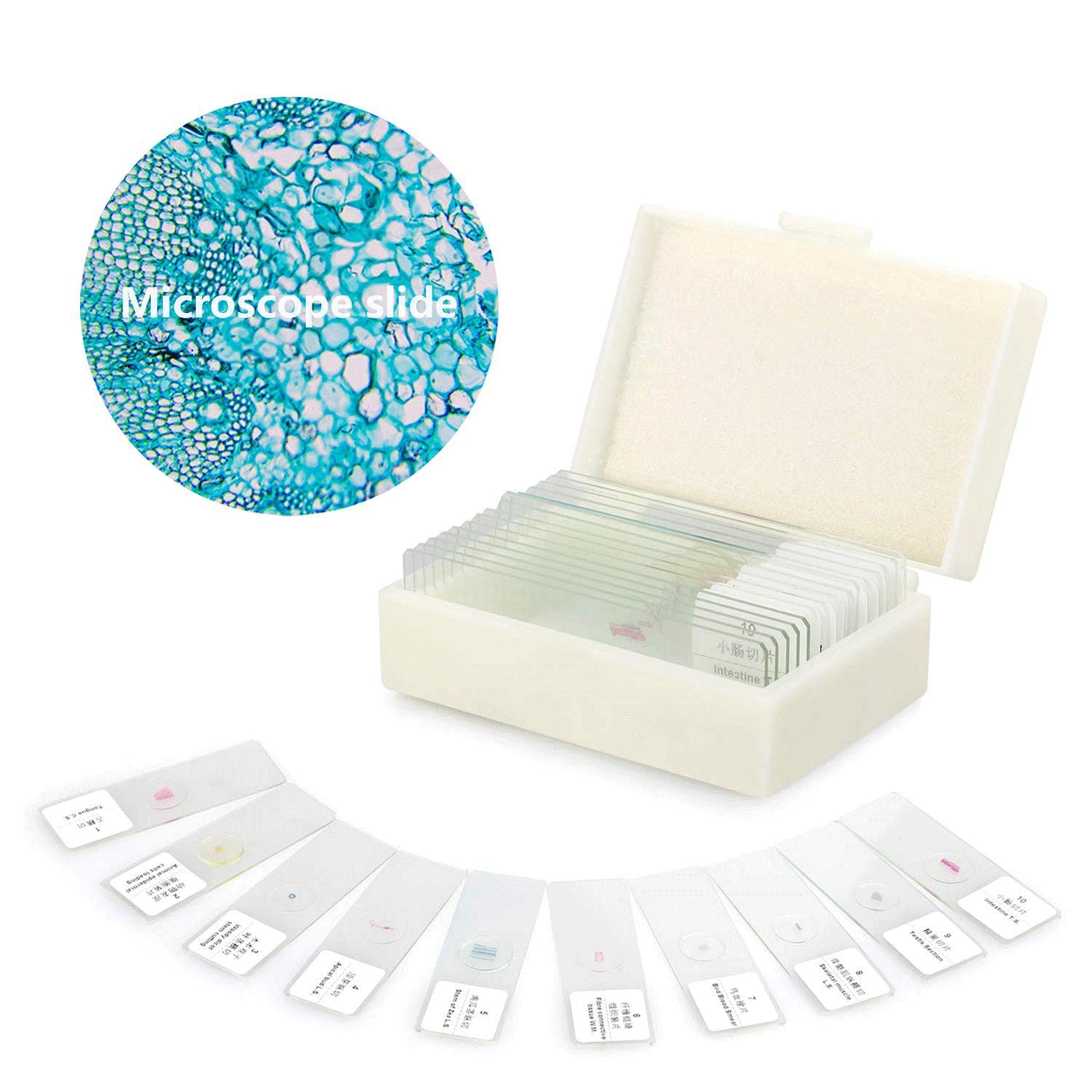 set di microscopi con custodia