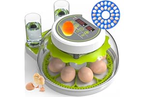 DEZHXHE Egg Incubators for Hatching Eggs, Chicken Egg Incubator with Automatic Egg Turning, Temperature Control & Humidity Display, Egg Candler, Home Use for Chicken, Duck, Goose, Quail - Green