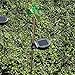 Sunnydaze Outdoor Solar Garden Lights, 6 Pack Solar Powered Stake LED Pathway Lights, Decorative Butterfly Dragonfly Hummingbird, Multi-Color