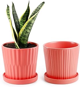 Medium Plant Pots - 6 Inch Coral Cylinder Ceramic Planters with Attached Saucers, Two Line Grain, House and Office Decor, Set of 2