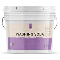 Birch & Meadow Borax Unscented Laundry & Cleaning Additive 1 Pound...