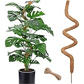 60 Inch Moss Pole for Plants Monstera, Tall Bendable Moss Poles for Climbing Plants Indoor, Large Handmade Plant Pole Sticks, Coco Coir Plant Support Stakes for Potted Plants, Pothos