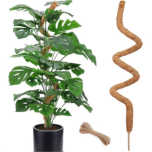 60 Inch Moss Pole for Plants Monstera, Tall Bendable Moss Poles for  Climbing Plants Indoor, Large Handmade Plant Pole Sticks, Coco Coir Plant  Support Stakes for Potted Plants, Pothos in Saudi Arabia |