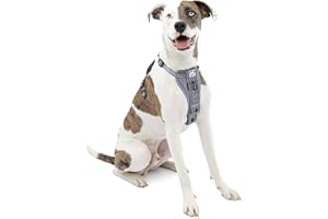 Kurgo Tru-Fit Smart Harness, Dog Harness, Pet Walking Harness, Quick Release Buckles, Front D-Ring for No Pull Training, Includes Dog Seat Belt Tether (Grey, Medium)