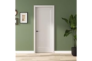 BARNSMITH 30x80 in 1-Panel White Primed Molded Door Slab, Shaker Style Paintable Hollow Core Interior Door Panel, for Pocket, Swing, Sliding Door, Durable and Lightweight, No Assembly Required