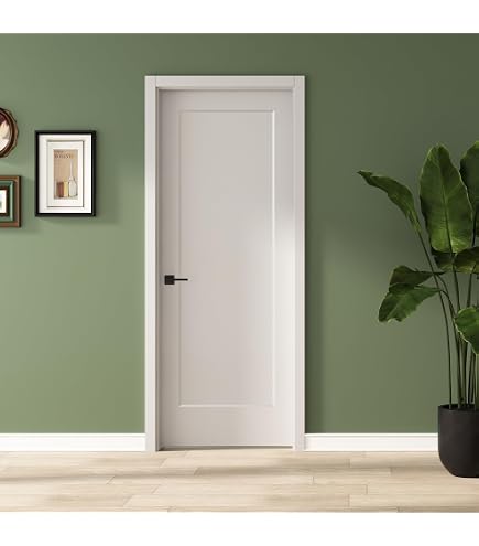 Amazon.com: BARNSMITH 32x80 in 2-Panel White Primed Interior Door