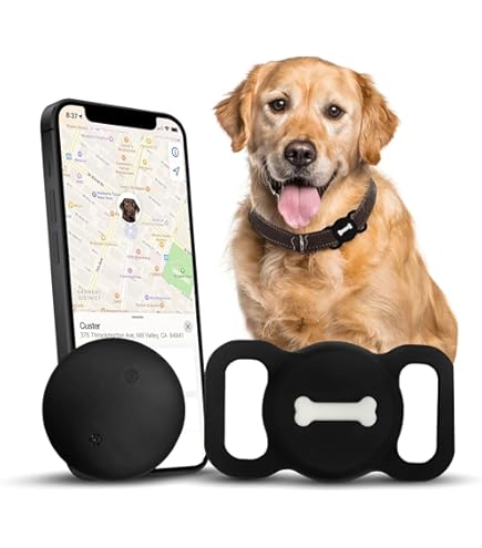 Training Collar PAJ GPS Tracker For Dogs Real-Time Tracking With