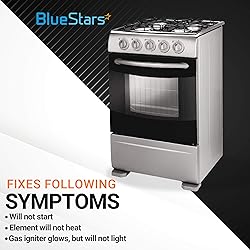 BlueStars WB16K10026 WB29K17 Double Burner Assembly