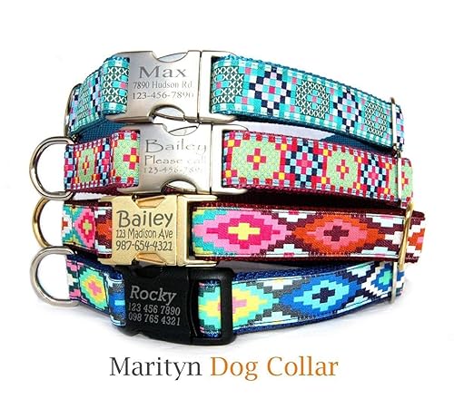 colorful dog leashes