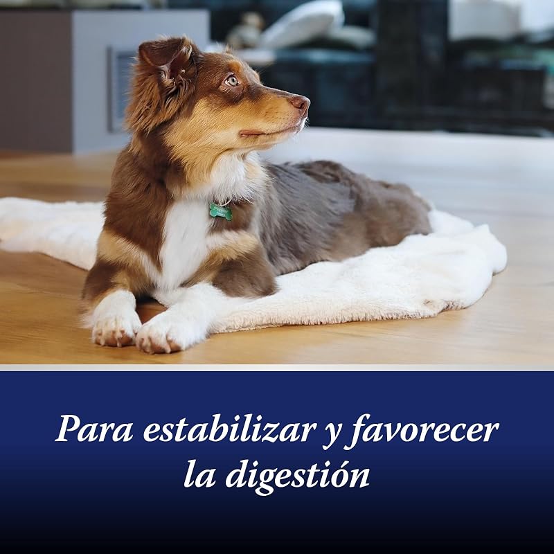 Flora intestinal Perro - probioticos Perros y prebióticos - construye la Flora intestinal Perro - promueve la digestión del Perro a través del Tratamiento intestinal Perro - 30 Comprimidos