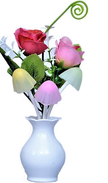 PRO365 Spa/Romantic Nature Auto On/Off Sensor Night Lamp LED (Crown Plug, Power Saver)