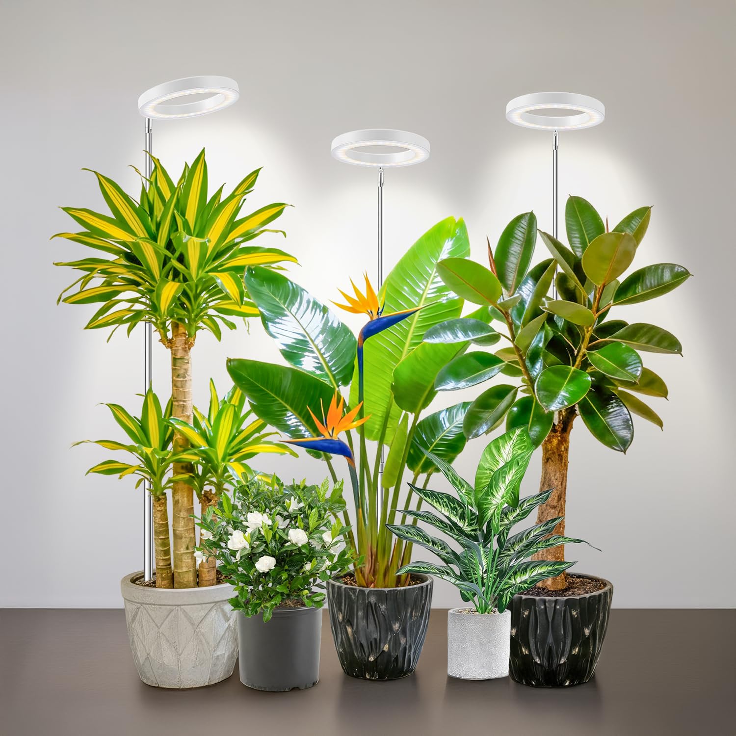 Kullsinss White Grow Light, Full Spectrum LED Plant Lighs for Indoor Growing with 6/12/16H Timer, 3 Color Modes, 5 Brightness, 10"-60" Height Adjustable Plant Lamp for Tall Indoor Plants (3 Pack) Image