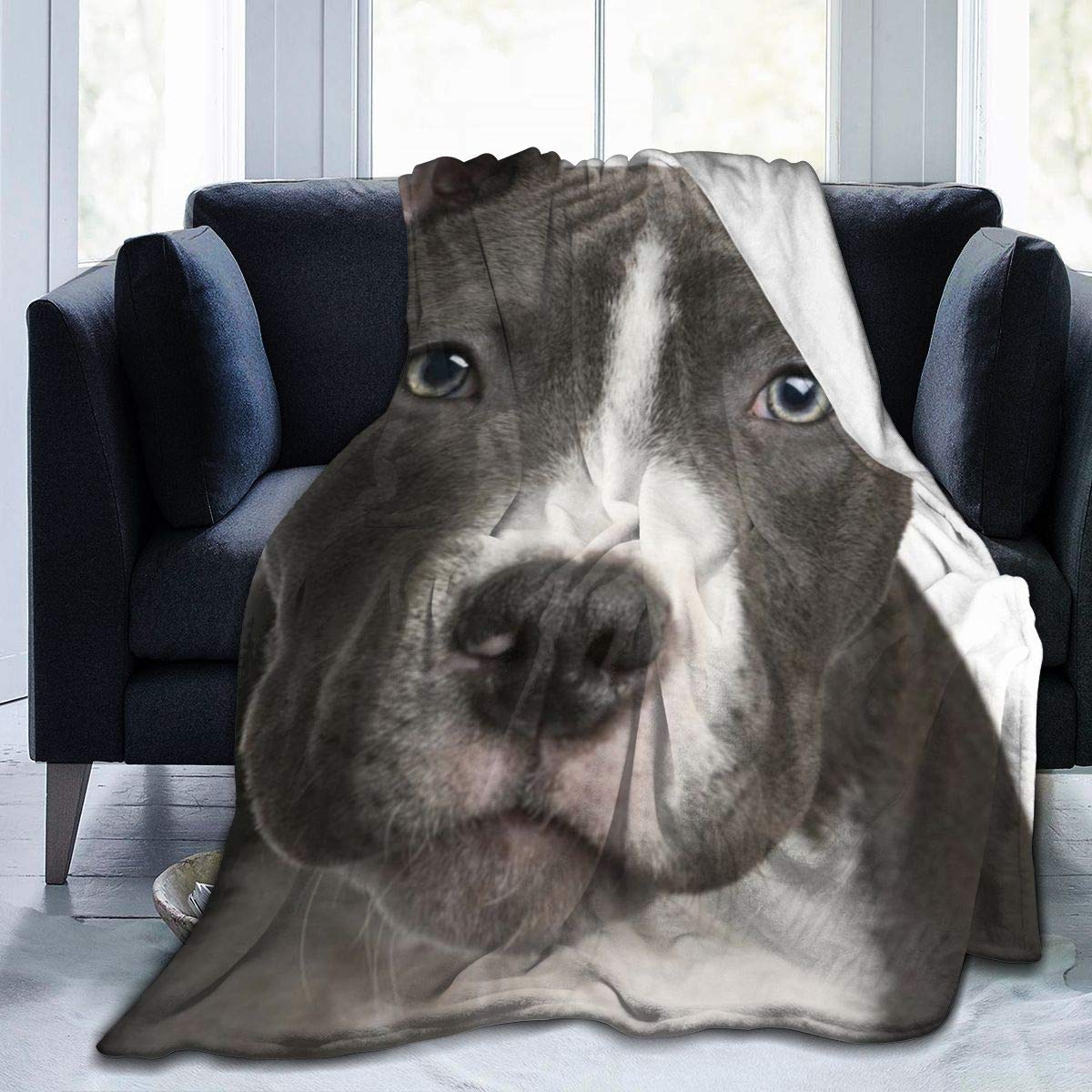 Best American Pitbull Bedding