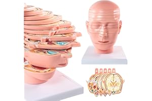 EVOTECH SCIENTIFIC Human Head and Brain Cross-Section Anatomy Model, 12 Parts Human Brain Anatomy Model Slice Horizontal with Mark for Medical Education Learning Study